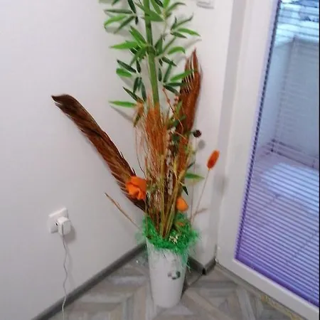 Апартаменты Your *